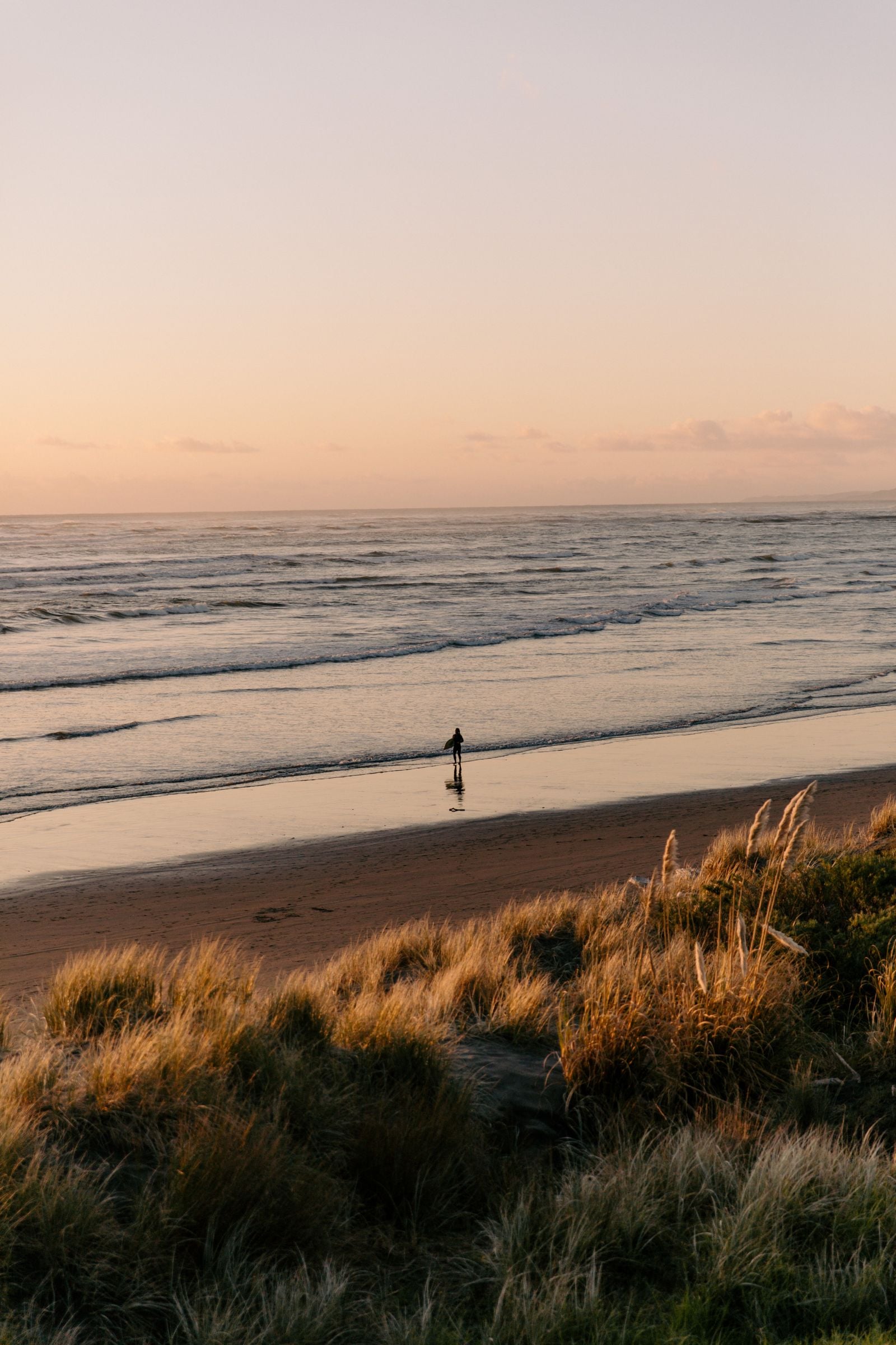 A surfer in the golden evening light at Raglan Beach, Waikato, New Zealand