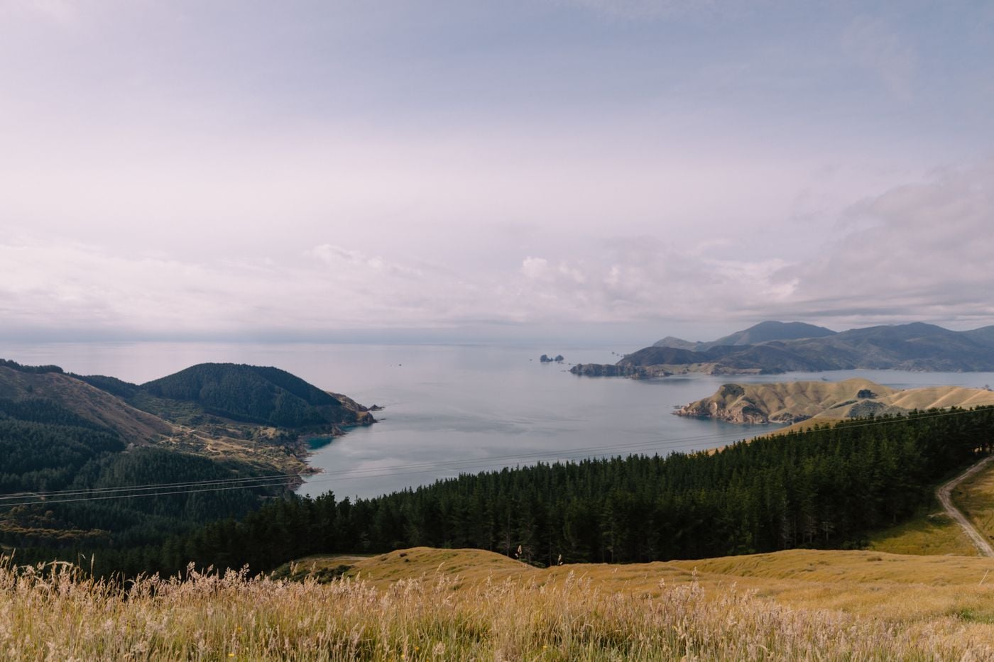 The sheltered water and green hills of the Marlborough Sounds, New Zealand