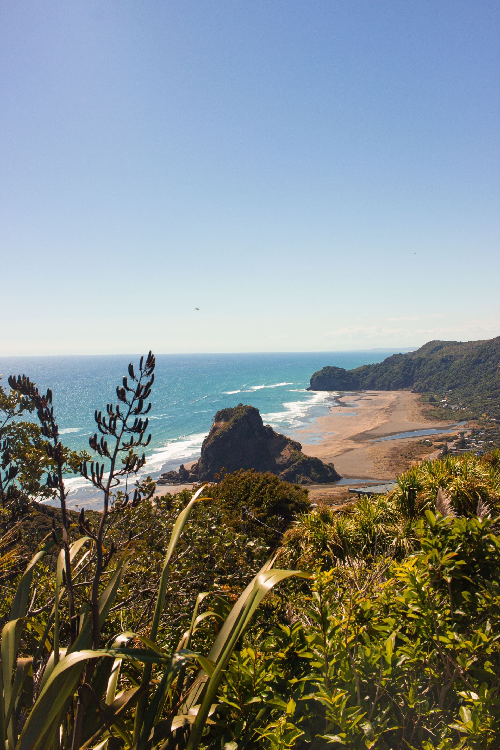 The open coast and green hills of Piha, New Zealand