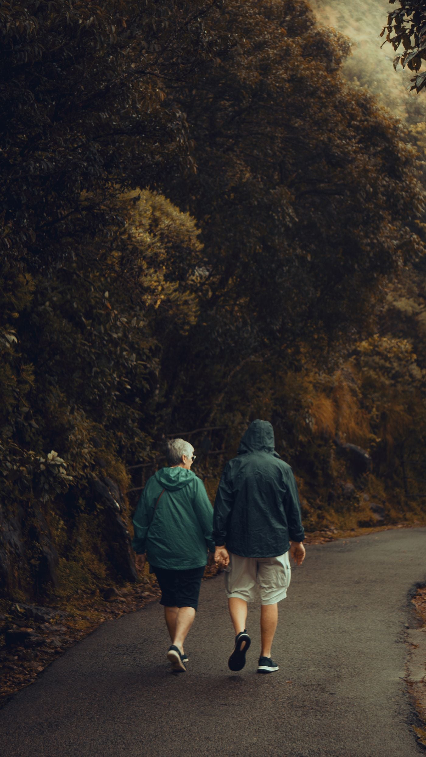 A couple enjoying a walk together on a leafy forest path